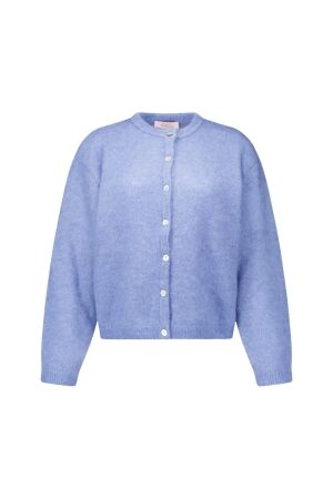 Studio Anneloes Studio Anneloes bibi cardigan 14402 Vest 6000 sky blue