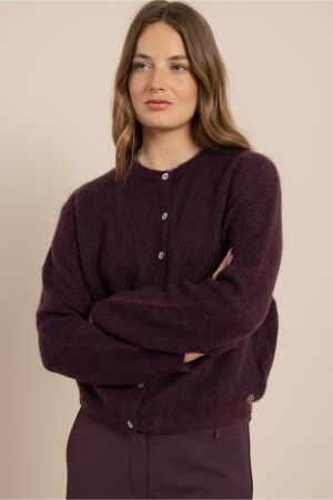 Studio Anneloes Studio Anneloes bibi cardigan 14405 Vest 4800 aubergine