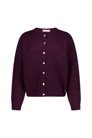 Studio Anneloes Studio Anneloes bibi cardigan 14405 Vest 4800 aubergine