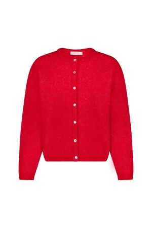 Studio Anneloes Studio Anneloes bibi cardigan 14408 Vest 4100 poppy red