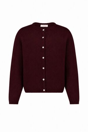 Studio Anneloes Studio Anneloes bibi cardigan 14408 Vest 3900 red wine