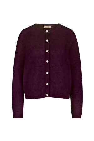 Studio Anneloes Studio Anneloes bibi cardigan 14411 Vest 3800 blackberry