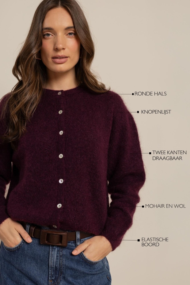 Studio Anneloes Bibi cardigan 14411 3800 blackberry
