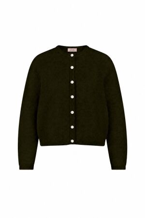 Studio Anneloes Studio Anneloes bibi cardigan 14411 Vest 7100 moss green