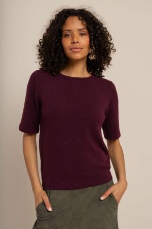 Studio Anneloes Studio Anneloes felica pullover 14413 Trui korte mouw 3800 blackberry