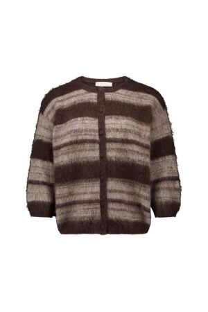 Studio Anneloes Studio Anneloes bibi ssl stripe cardigan 14150 Vest 8687 chestnut/espresso