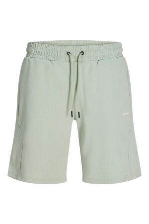 Jack & Jones Jack & Jones jpstgordon camp shorts reg Korte broeken aqua gray
