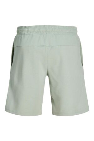 Jack & Jones Jack & Jones jpstgordon camp shorts reg Korte broeken aqua gray