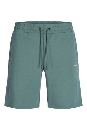 Jack & Jones Jack & Jones jpstgordon camp shorts reg Korte broeken north atlantic