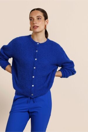 Studio Anneloes Studio Anneloes bibi spring cardigan 13776 Vest 7301 electric blue