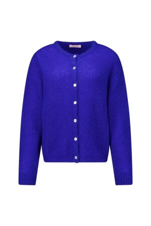 Studio Anneloes Studio Anneloes bibi spring cardigan 13776 Vest 7301 electric blue