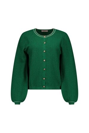 Studio Anneloes Studio Anneloes jaxx twinset cardigan 13771 Vest 7214 grass green / kit