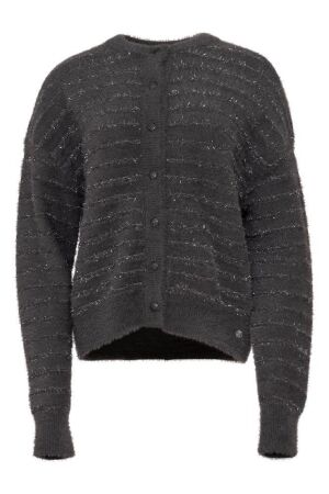 Maicazz Maicazz zallejo wi26.65.207 Vest antra/silver
