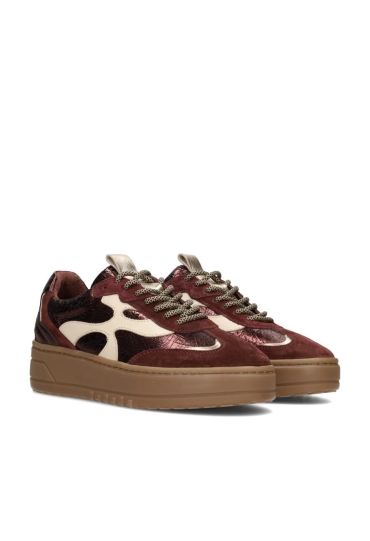 Schoenen