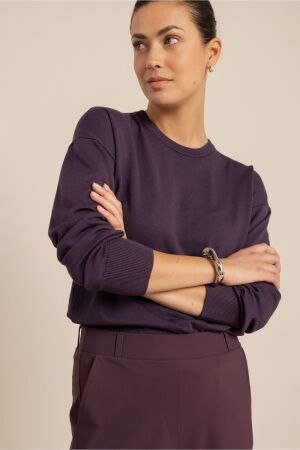 Studio Anneloes Studio Anneloes ruth round neck pullover 14223 Trui 4800 aubergine