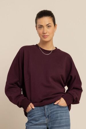 Studio Anneloes Studio Anneloes costa ls round neck sweater 14255 Sweater 4800 aubergine