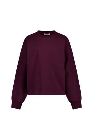 Studio Anneloes Studio Anneloes costa ls round neck sweater 14255 Sweater 4800 aubergine