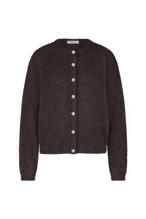 Studio Anneloes Studio Anneloes bibi cardigan 91545 Vest 8700 espresso