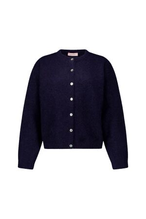Studio Anneloes Studio Anneloes bibi cardigan 91545 Vest 6900 dark blue