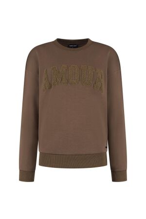 LADY DAY LADY DAY amour  l25.301.3657 Sweater truffle