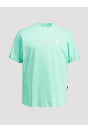 Chasin Chasin brody Print T-shirts e6021-cabbage