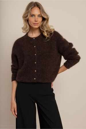 Studio Anneloes Studio Anneloes bibi sparkle cardigan 14479 Vest 8700 espresso