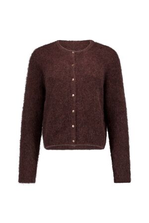 Studio Anneloes Studio Anneloes bibi sparkle cardigan 14479 Vest 8700 espresso