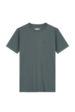 DSTREZZED DSTREZZED ds_collin ss tee 203012 T-shirts grey green