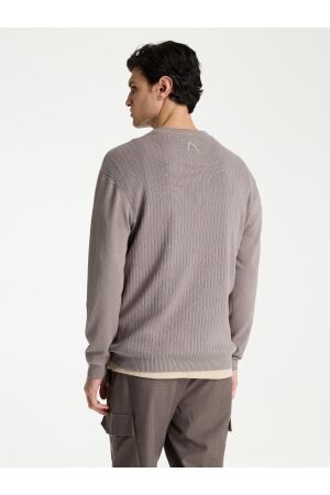 Chasin Chasin roen Trui e7014 - driftwood