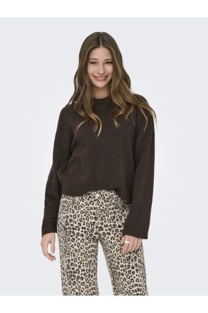 Only Only onlsimoni l/s o-neck pullover knt noos Trui coffee bean