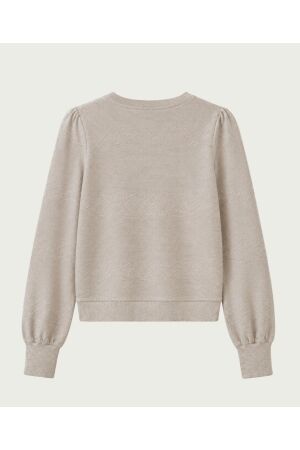 Elvira Casuals Elvira Casuals pullover lunelle e4 26-042 Trui stardust