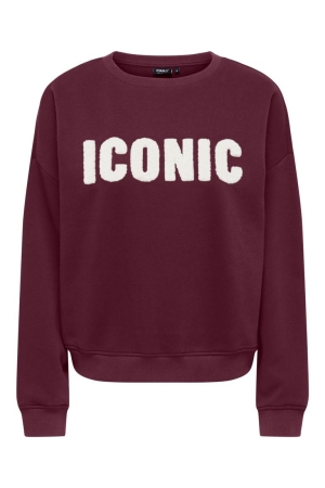 Only Only onlsweat life l/s crew o.size state noos 15254183 Sweater fig iconic - teddy