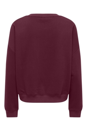 Only Only onlsweat life l/s crew o.size state noos 15254183 Sweater fig iconic - teddy