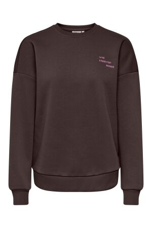 Only Only onlzenja boxy l/s box pri cs swt 15365859 Sweater coffee bean
