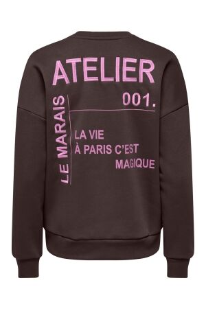 Only Only onlzenja boxy l/s box pri cs swt 15365859 Sweater coffee bean