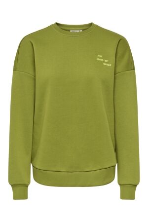 Only Only onlzenja boxy l/s box pri cs swt 15365859 Sweater cardamom seed