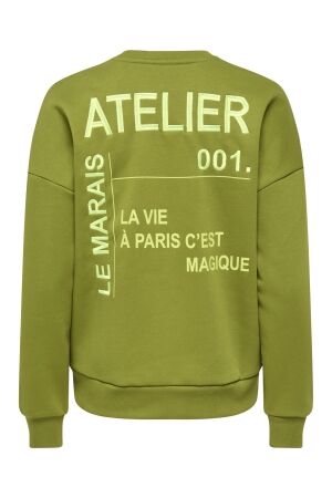 Only Only onlzenja boxy l/s box pri cs swt 15365859 Sweater cardamom seed