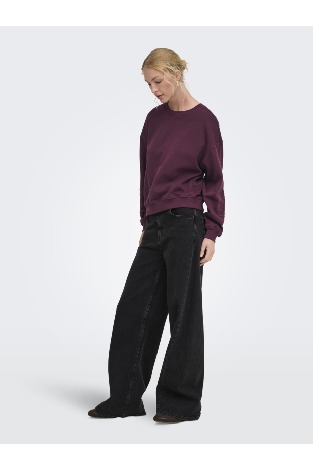 Only ONLBROOKLYN L/S EMBROIDERY BOX SWT Fig