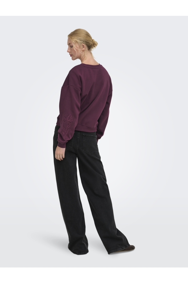 Only ONLBROOKLYN L/S EMBROIDERY BOX SWT Fig
