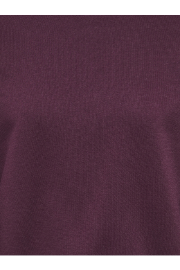 Only ONLBROOKLYN L/S EMBROIDERY BOX SWT Fig