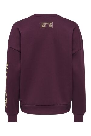 Only Only onlzenja boxy l/s box pri cs swt Sweater fig
