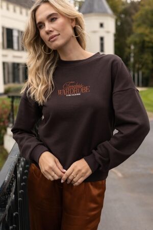 Elvira Casuals Elvira Casuals sweater timeless e5 26-002 Sweater 833 dark walnut